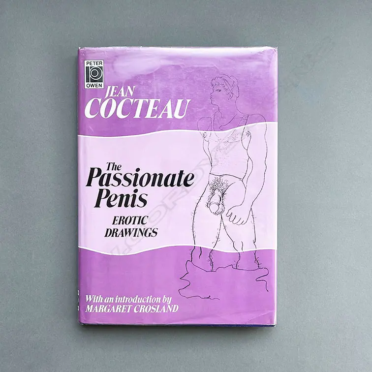 JEAN COCTEAU: THE PASSIONATE PENIS EROTIC DRAWINGS Image 1++